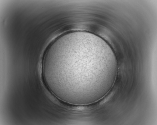 X0000088701130200706071534