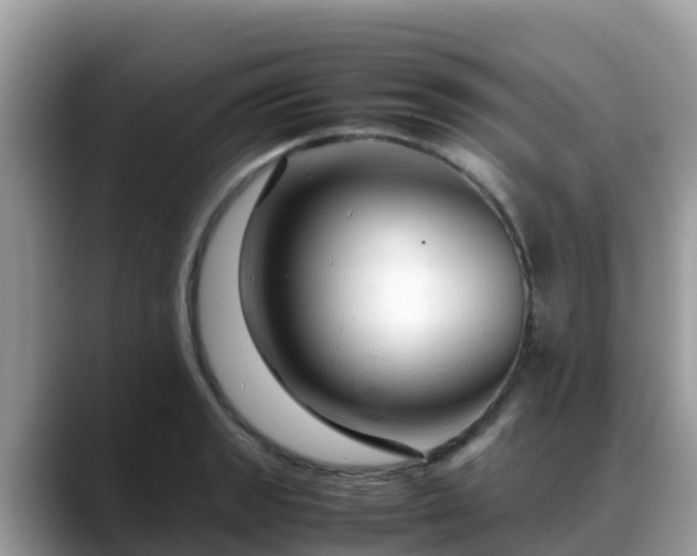 X0000088701133200706071534