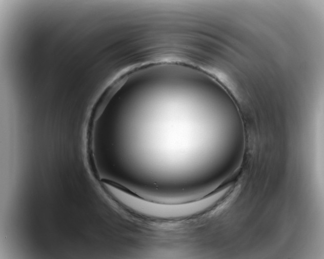 X0000088701134200706071534