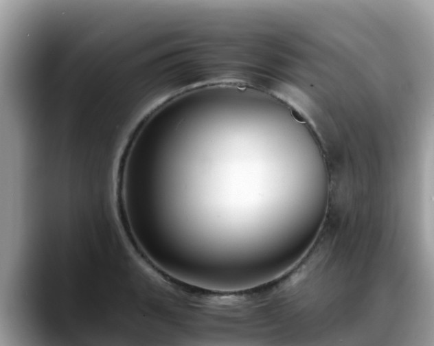 X0000088701135200706071534