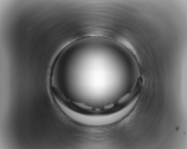 X0000088701138200706071534