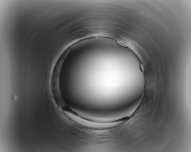 X0000088701140200706071534