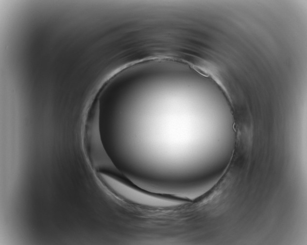 X0000088701143200706071534