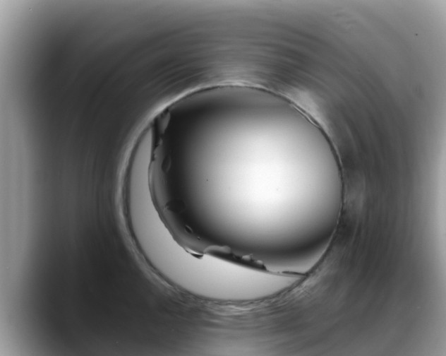X0000088701144200706071534
