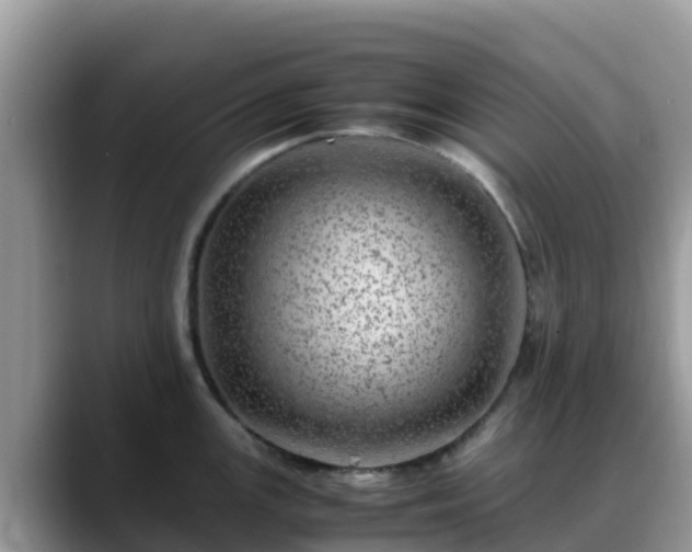 X0000088701147200706071534