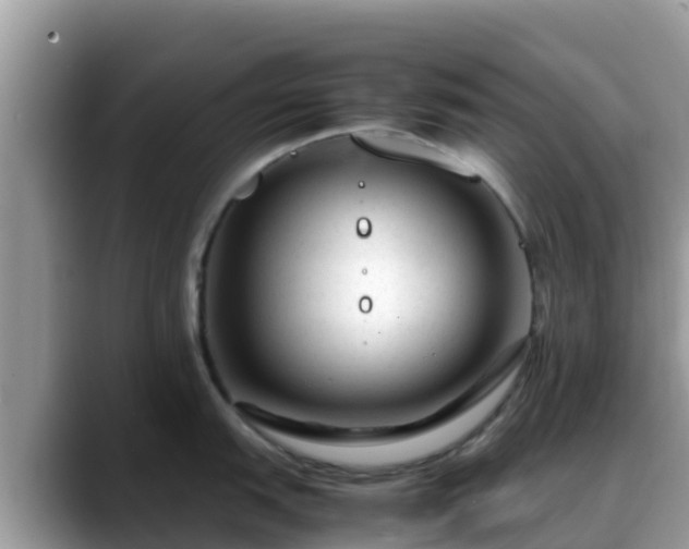 X0000088701151200706071534