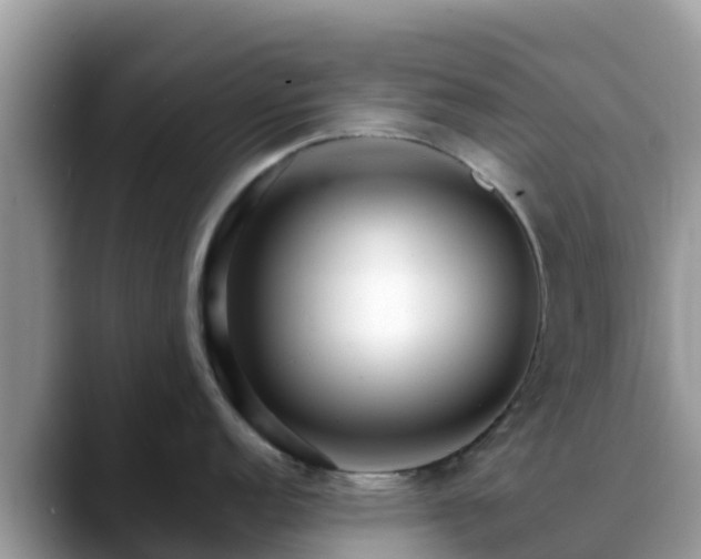 X0000088701152200706071535
