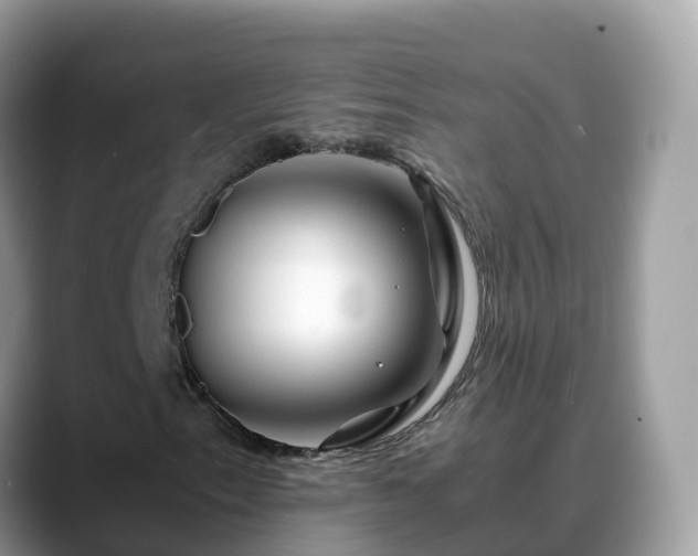 X0000088701153200706071534