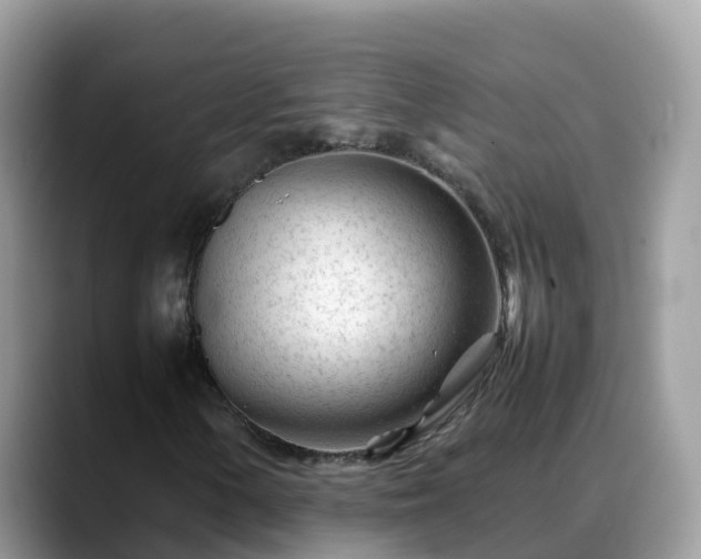 X0000088701154200706071534