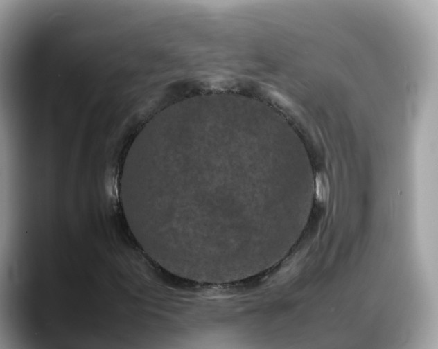 X0000088701155200706071534
