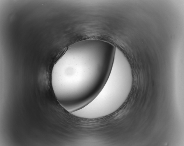 X0000088701156200706071534