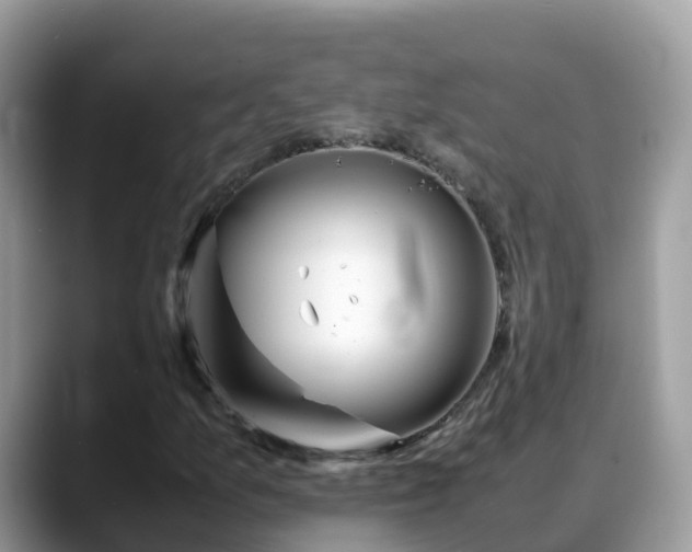 X0000088701157200706071534
