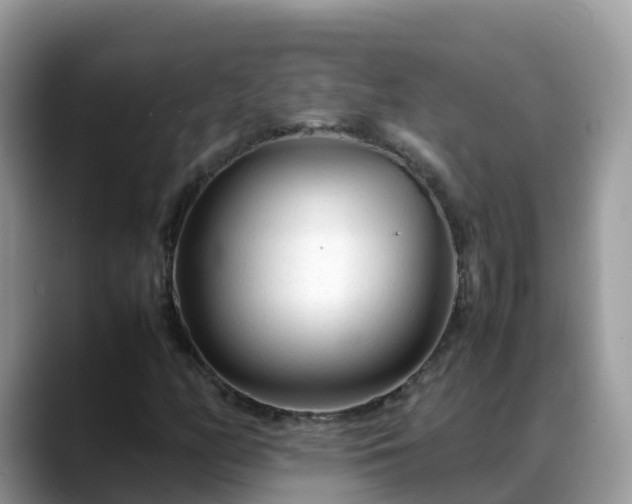 X0000088701158200706071534