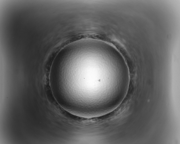 X0000088701159200706071534