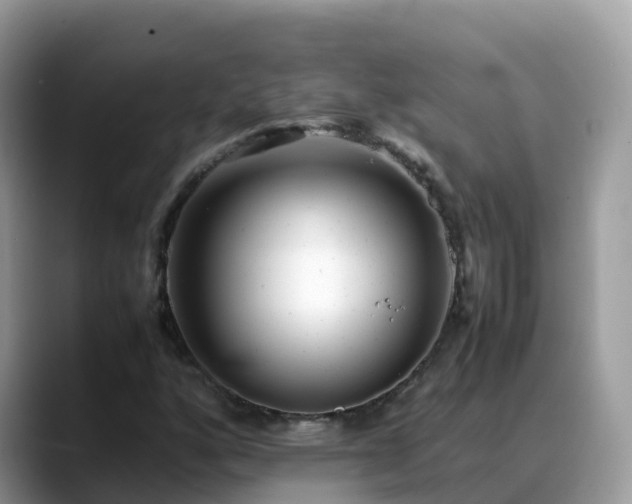 X0000088701160200706071534