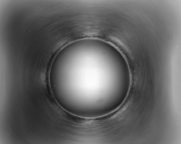 X0000088701162200706071534