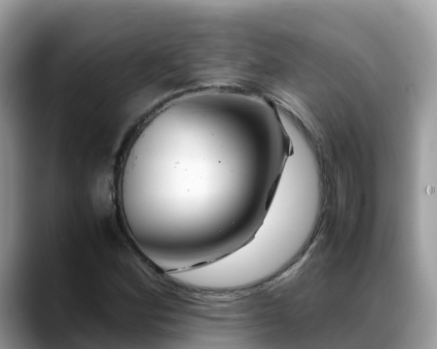 X0000088701164200706071534