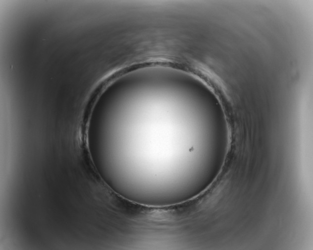 X0000088701166200706071534