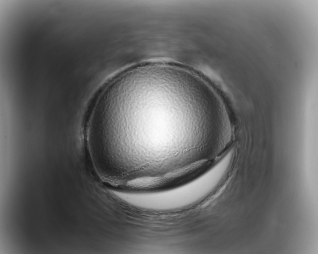 X0000088701167200706071534