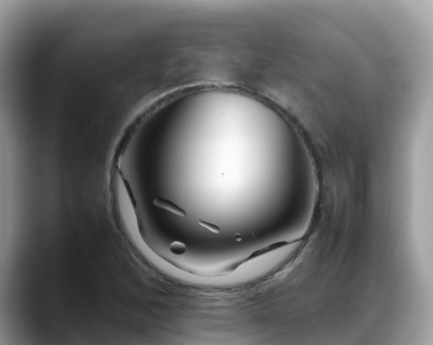 X0000088701168200706071534