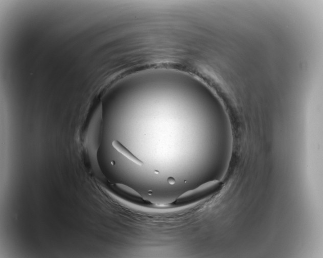 X0000088701169200706071534