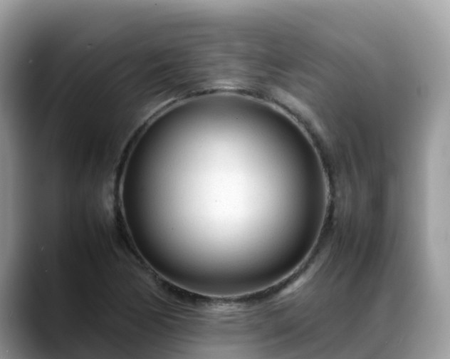 X0000088701170200706071534