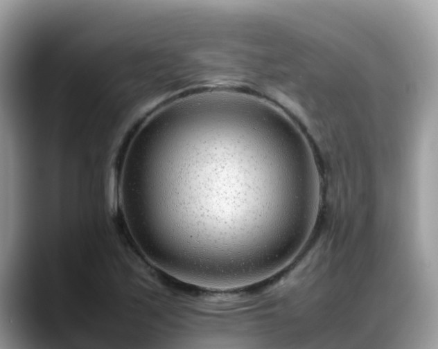 X0000088701171200706071534