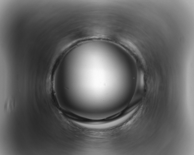 X0000088701172200706071534