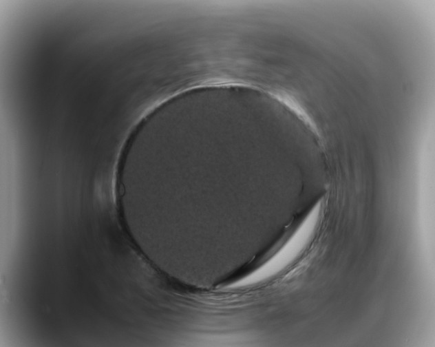 X0000088701173200706071534