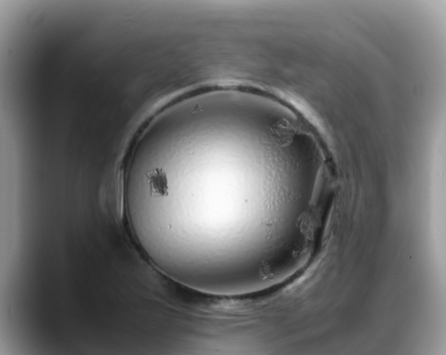 X0000088701175200706071534