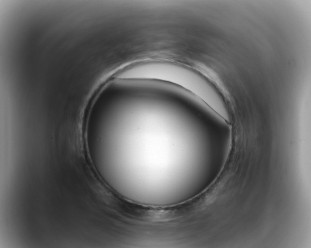 X0000088701176200706071534