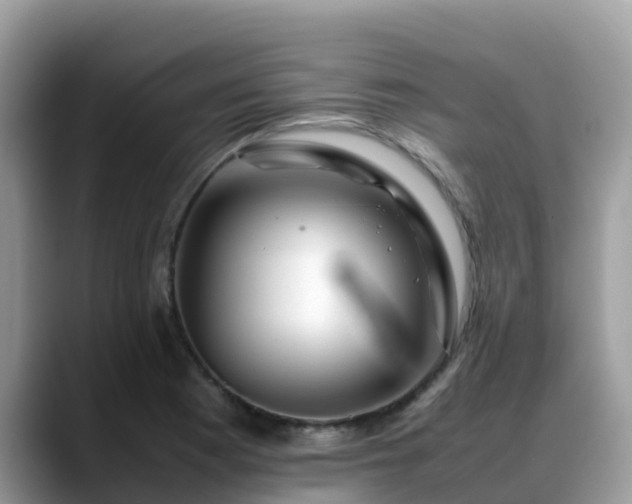 X0000088701177200706071534