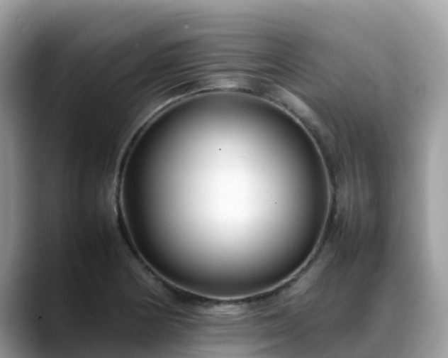 X0000088701178200706071534
