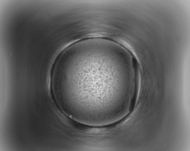 X0000088701179200706071534