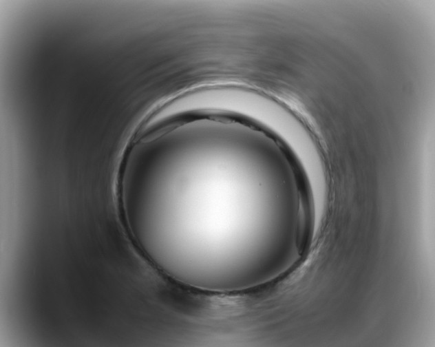 X0000088701181200706071534