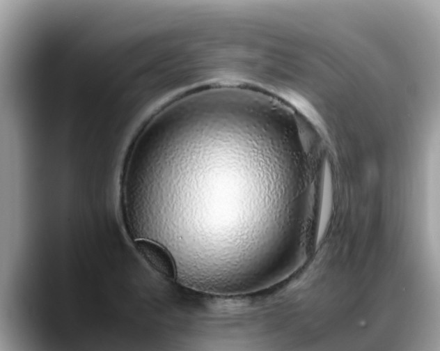 X0000088701183200706071533