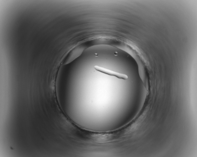 X0000088701185200706071533