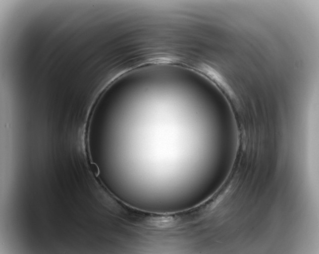 X0000088701186200706071533