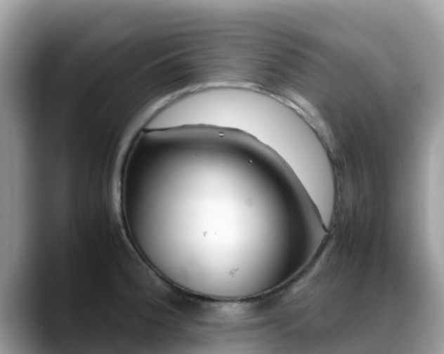 X0000088701188200706071533