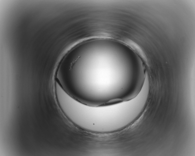 X0000088701192200706071533