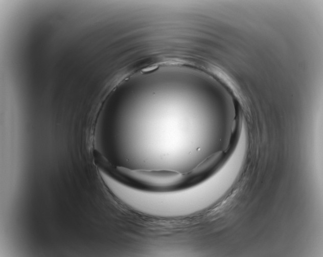 X0000088701193200706071533