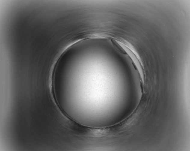 X0000088701195200706071533
