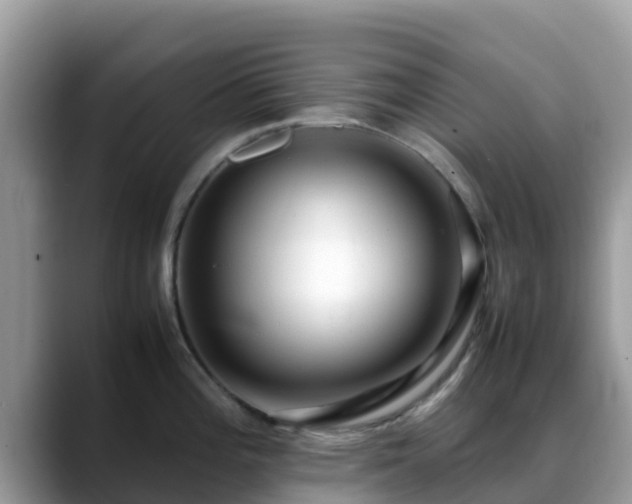 X0000088701196200706071533