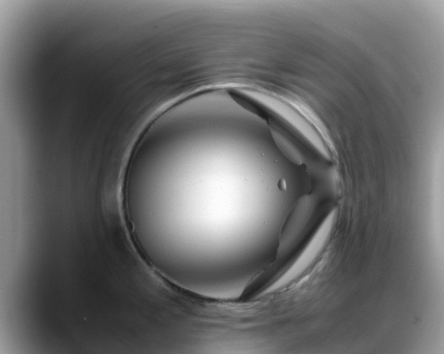 X0000088701197200706071533