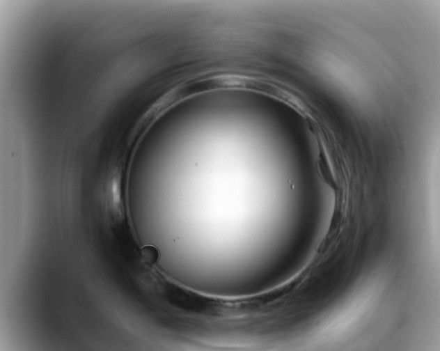 X0000088701198200706071533