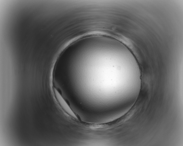 X0000088701199200706071533