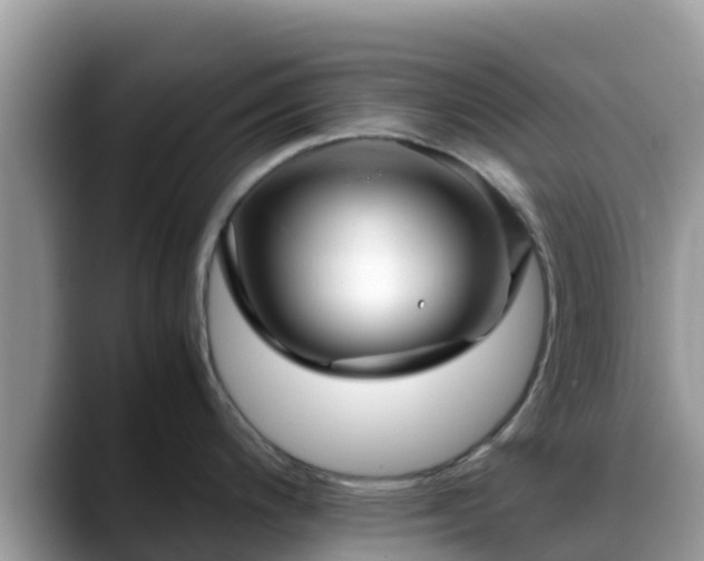 X0000088701200200706071533