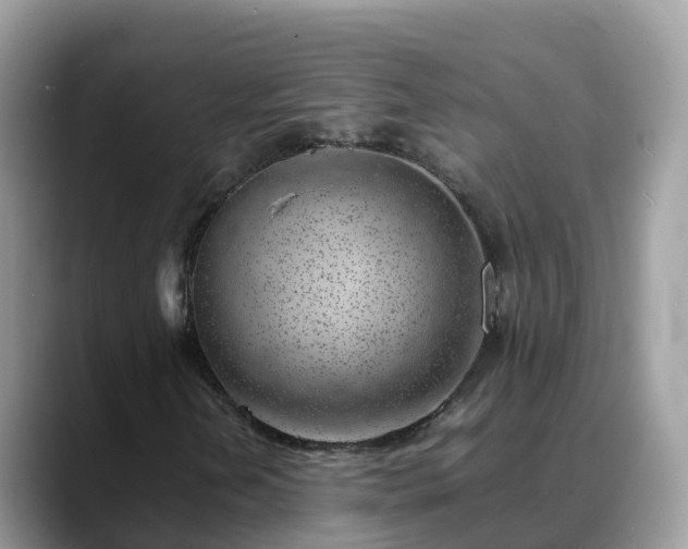 X0000088701202200706071533