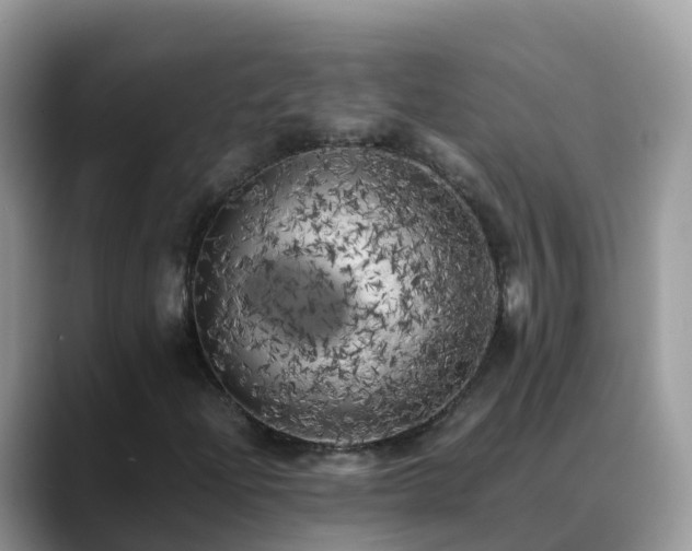X0000088701204200706071533