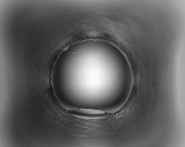 X0000088701205200706071533